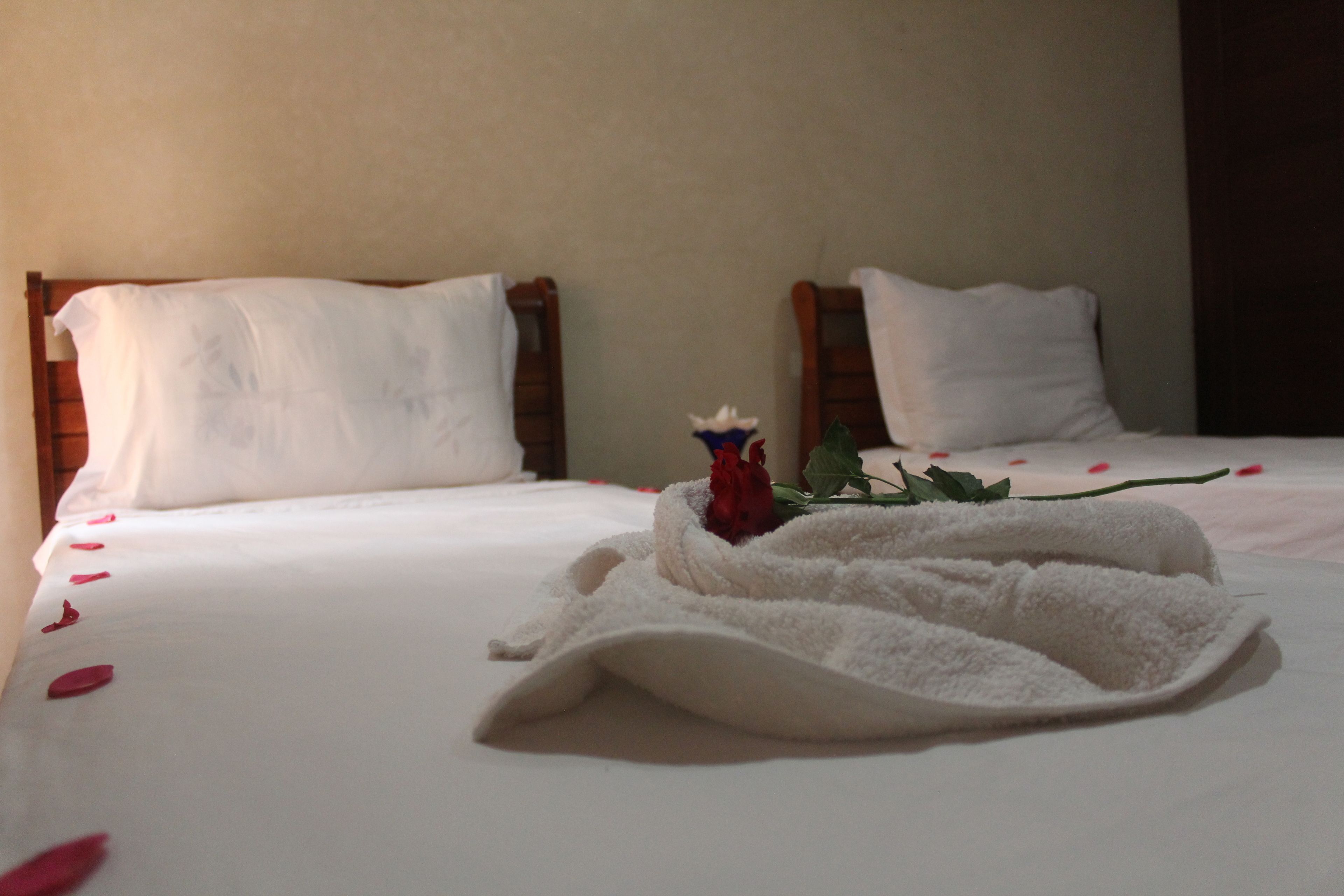 Blackout curtains, iron/ironing board, free WiFi, bed sheets