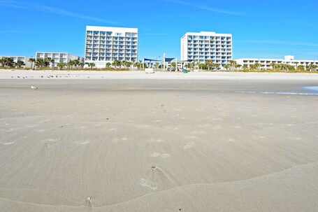 Holiday Sands North On the Boardwalk - Image 17