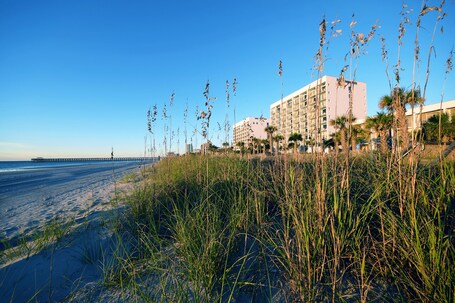 Holiday Sands North On the Boardwalk - Image 61