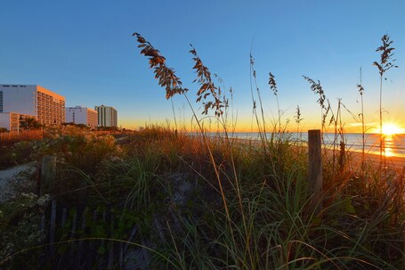 Holiday Sands North On the Boardwalk - Image 62