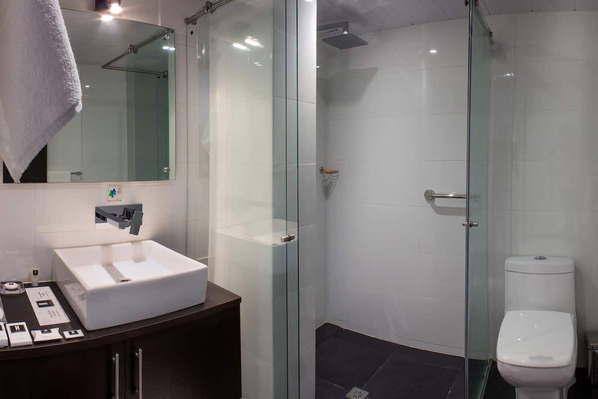 elite room (deluxe platino) | bathroom | shower, free toiletries, hair dryer, slippers