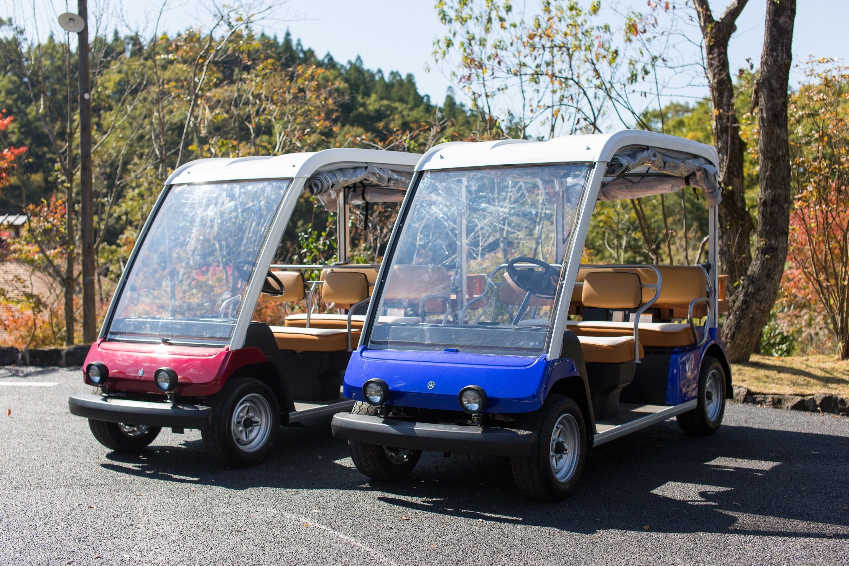 Two golf carts parked on a road with trees and autumn foliage in the background.