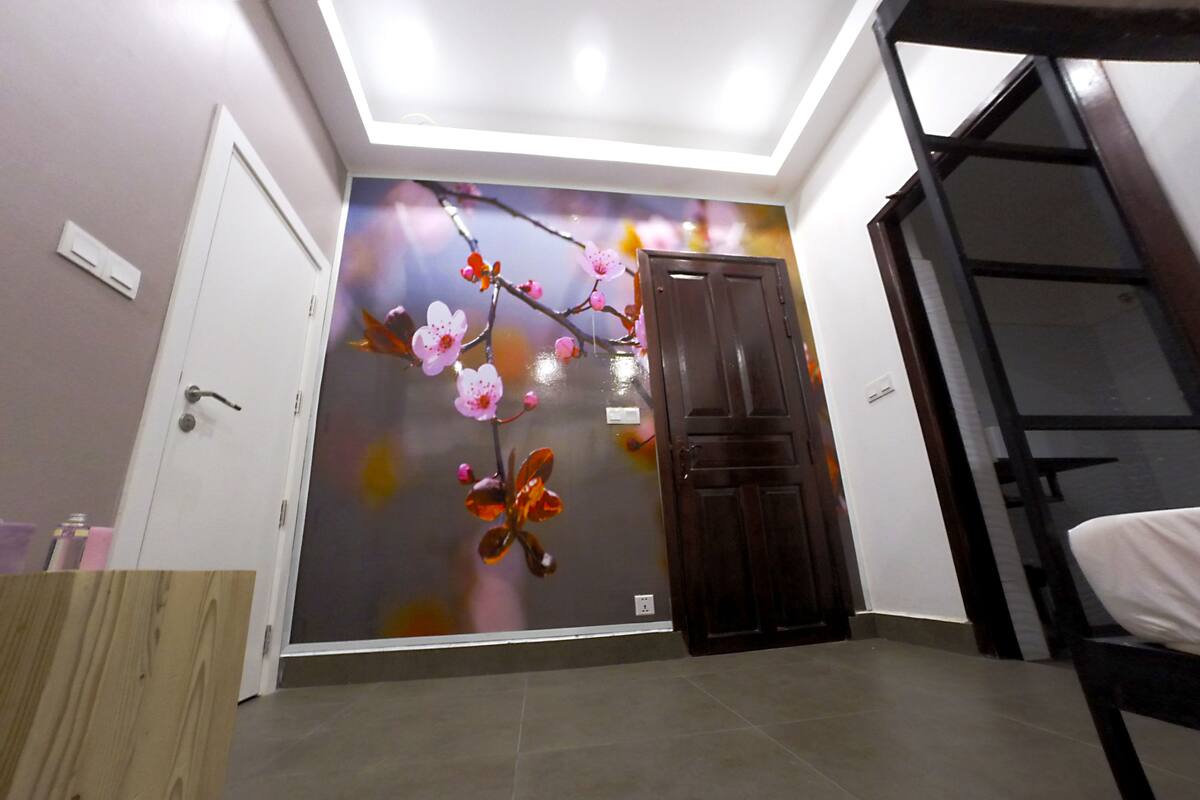 Habitación, solo para mujeres (Single Bed in 4-Bed Room 2) | Caja fuerte, escritorio, wifi gratis