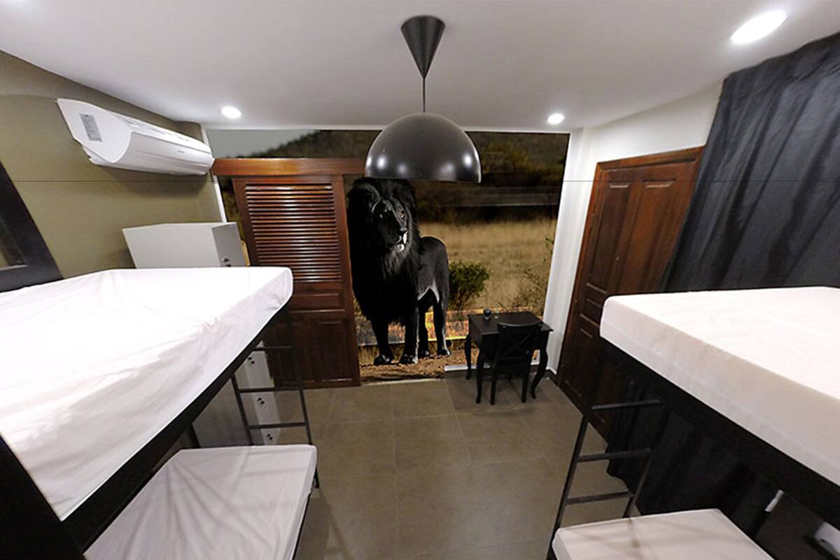 Habitación, dormitorio mixto (Single Bed in 4-Bed Room 1) | Caja fuerte, escritorio, wifi gratis