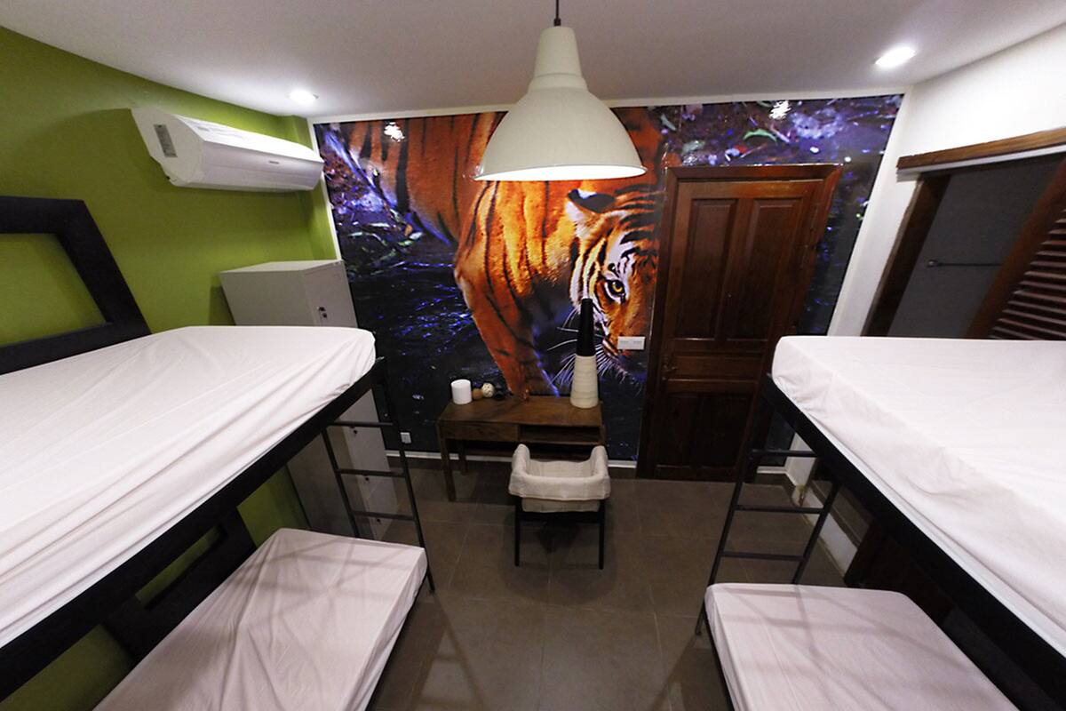 Habitación, solo para hombres (Single Bed in 4-Bed Room 1) | Caja fuerte, escritorio, wifi gratis