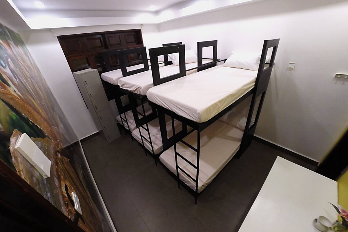 Single Bed in 6-Bed Mixed Dormitory Room | Caja fuerte, escritorio, wifi gratis