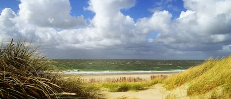 Tæt på stranden