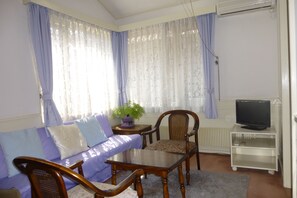 Fernseher