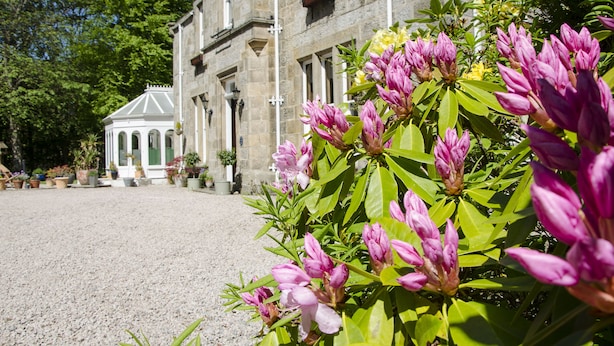 A historic stone building with a gravel driveway and lush pink flowers in the foreground. -  Ravenscourt Guest House (Grantown-on-Spey)