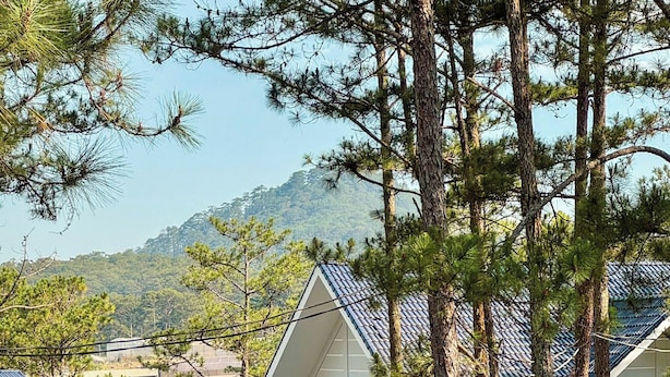 Una casa de dos pisos con techo inclinado, rodeada de altos pinos y un paisaje montañoso al fondo.