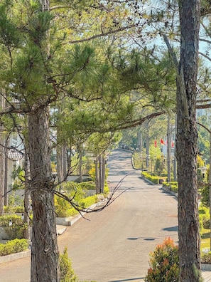 Una calle arbolada con pavimento, farolas y banderas.