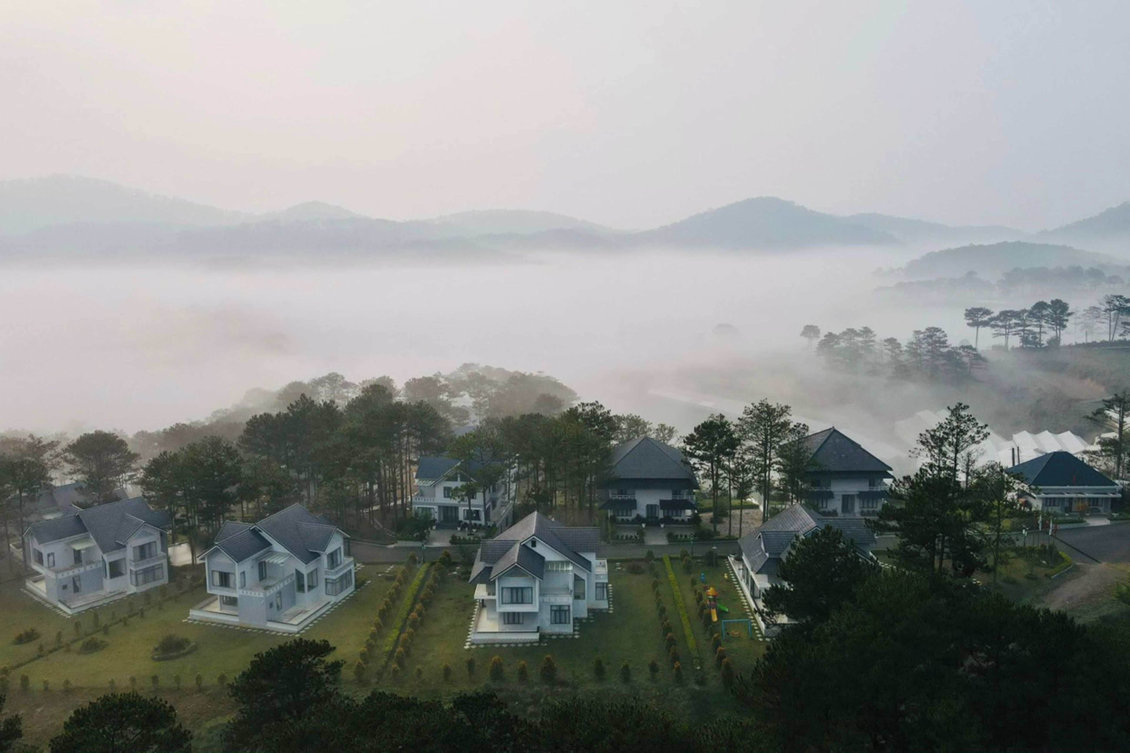 Una zona residencial con casas rodeadas de árboles y niebla.