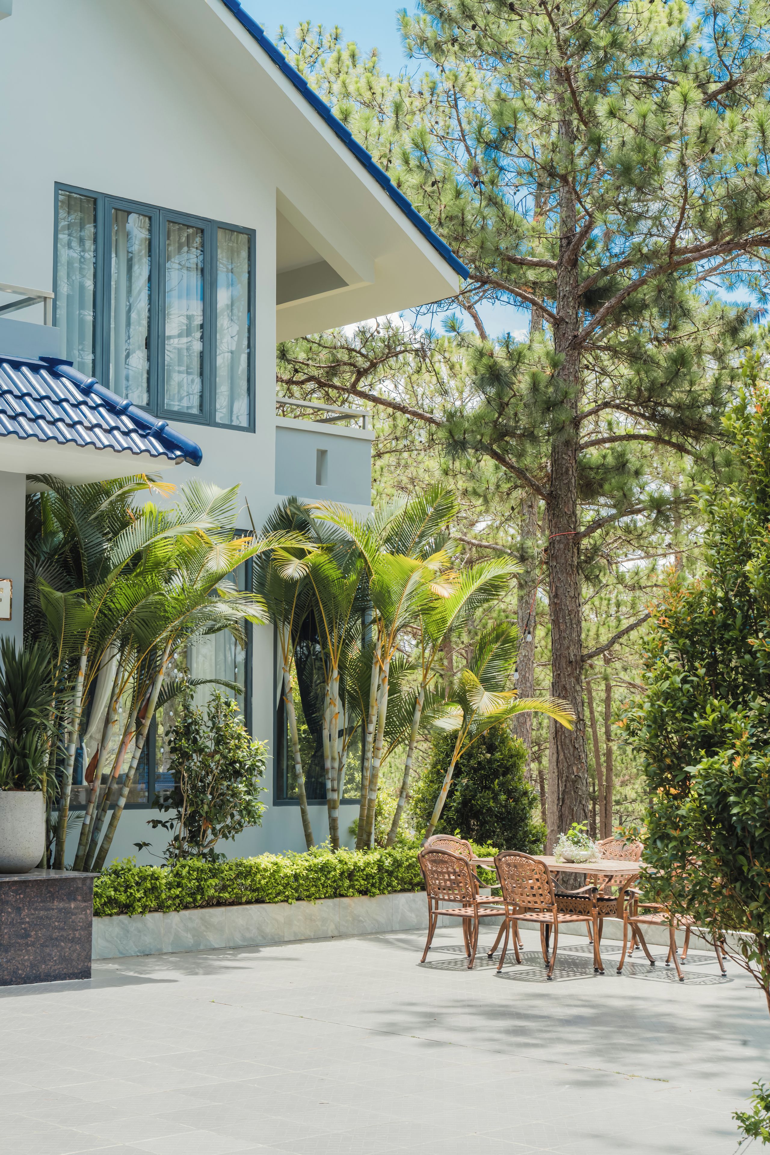 A modern house with a patio, outdoor furniture, and a large tree.