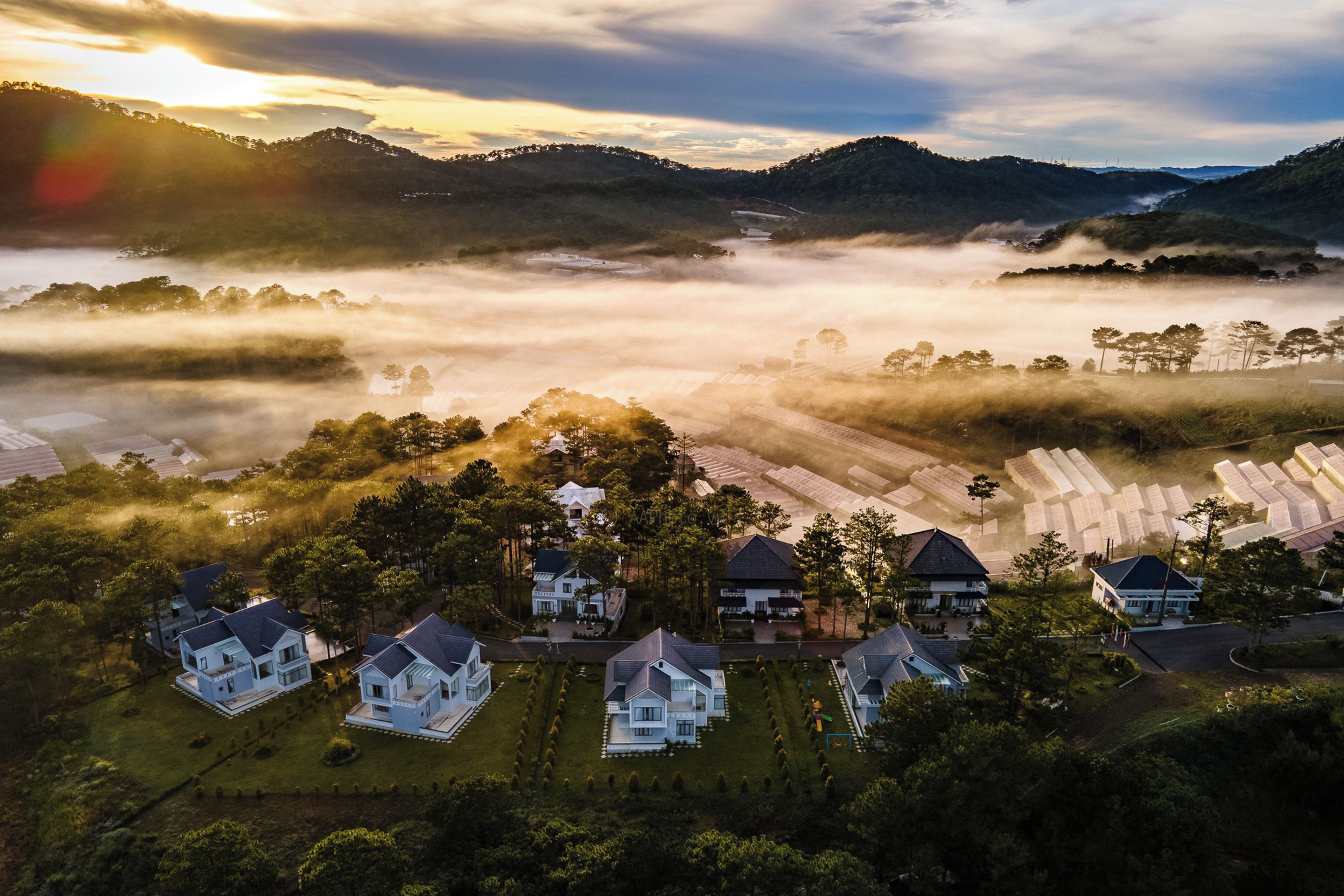 Zona residencial con casas rodeadas de vegetación y un valle brumoso.