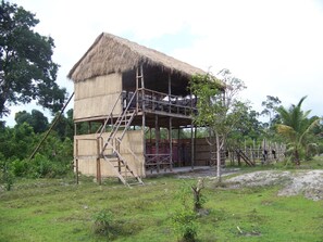 Dormitori compartit, dormitori mixt (12 Beds)