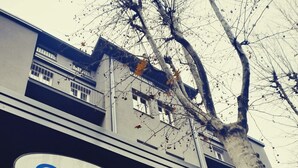 A hotel sign with the name "hotel alabama". - Hotel Alabama (Rimini)