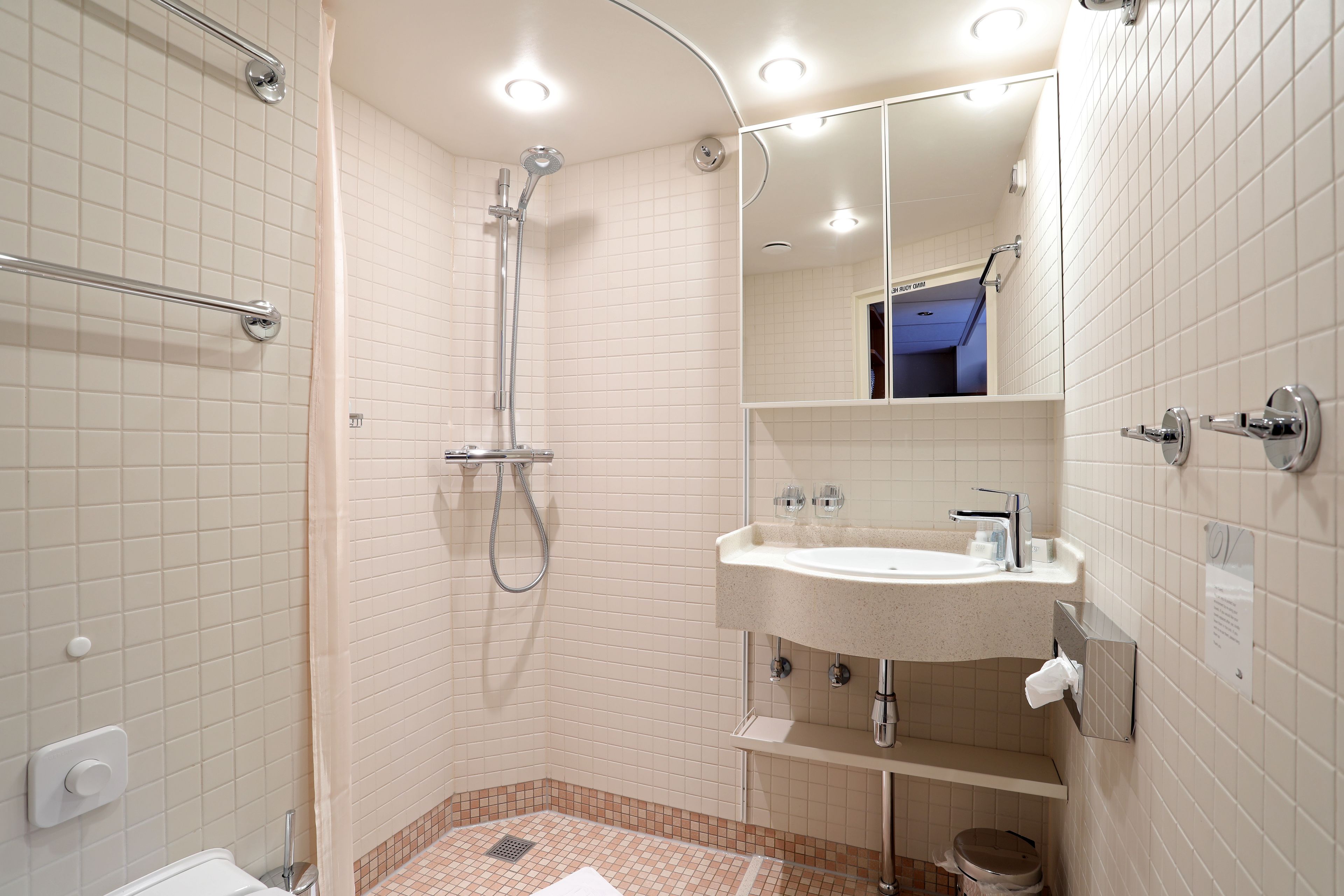 suite | bathroom | shower, free toiletries, hair dryer, towels