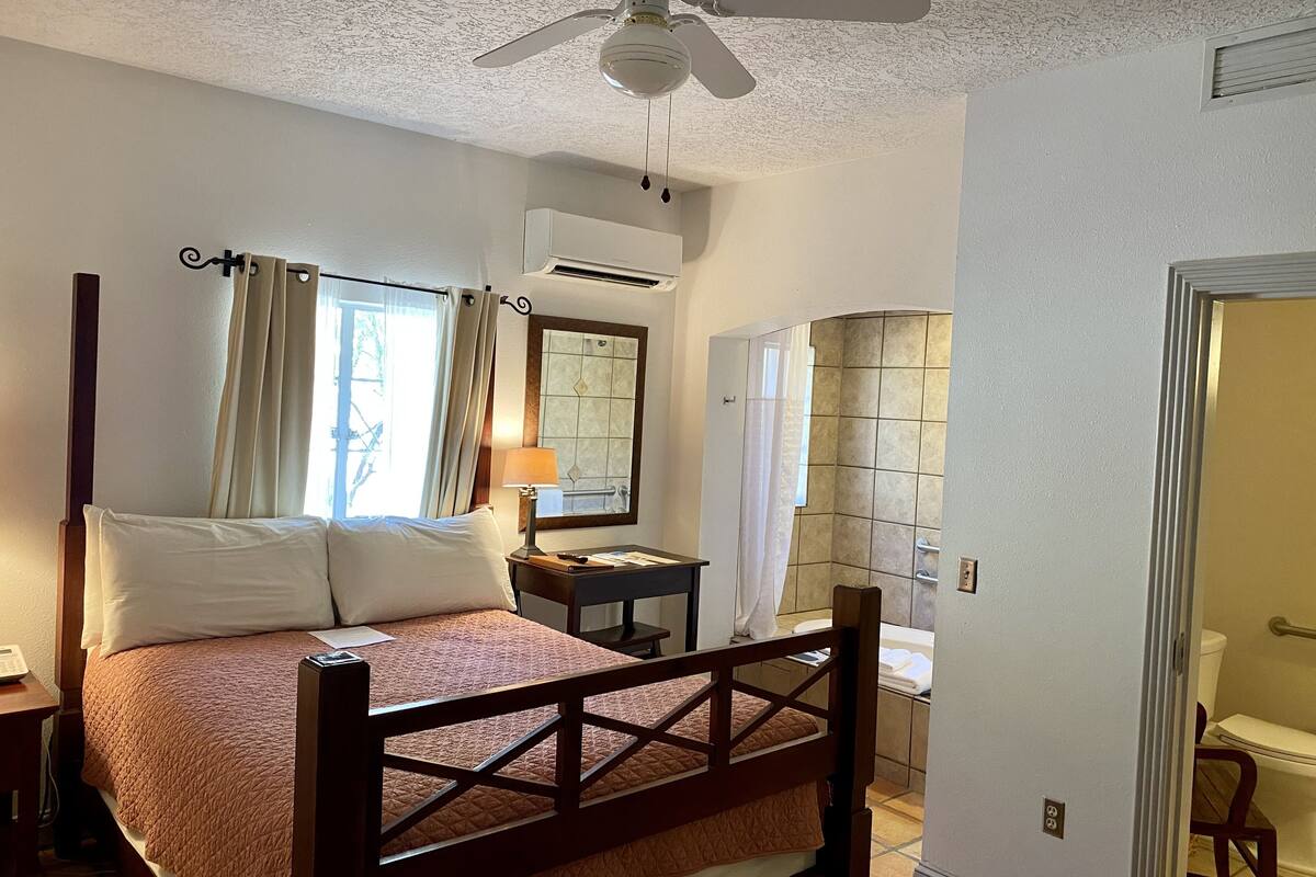 deluxe room, 1 queen bed, ground floor | individually decorated, desk, free wifi, bed sheets