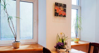 1Br Apt In City Center by Minnehaha Lofts