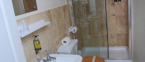 A bathroom with a glass-enclosed shower, a sink, a toilet, and a mirror.