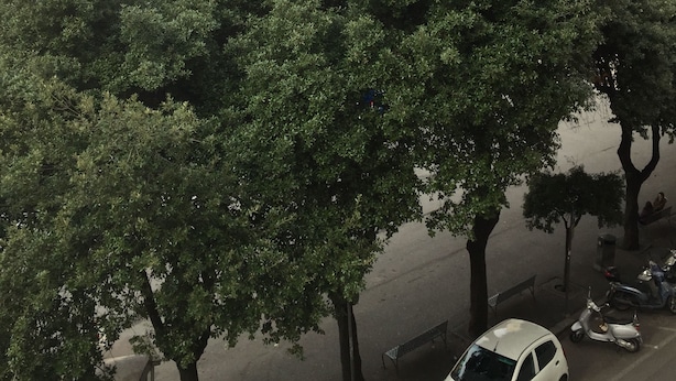 A building with a classical facade, a large tree in front, and a white car parked nearby.