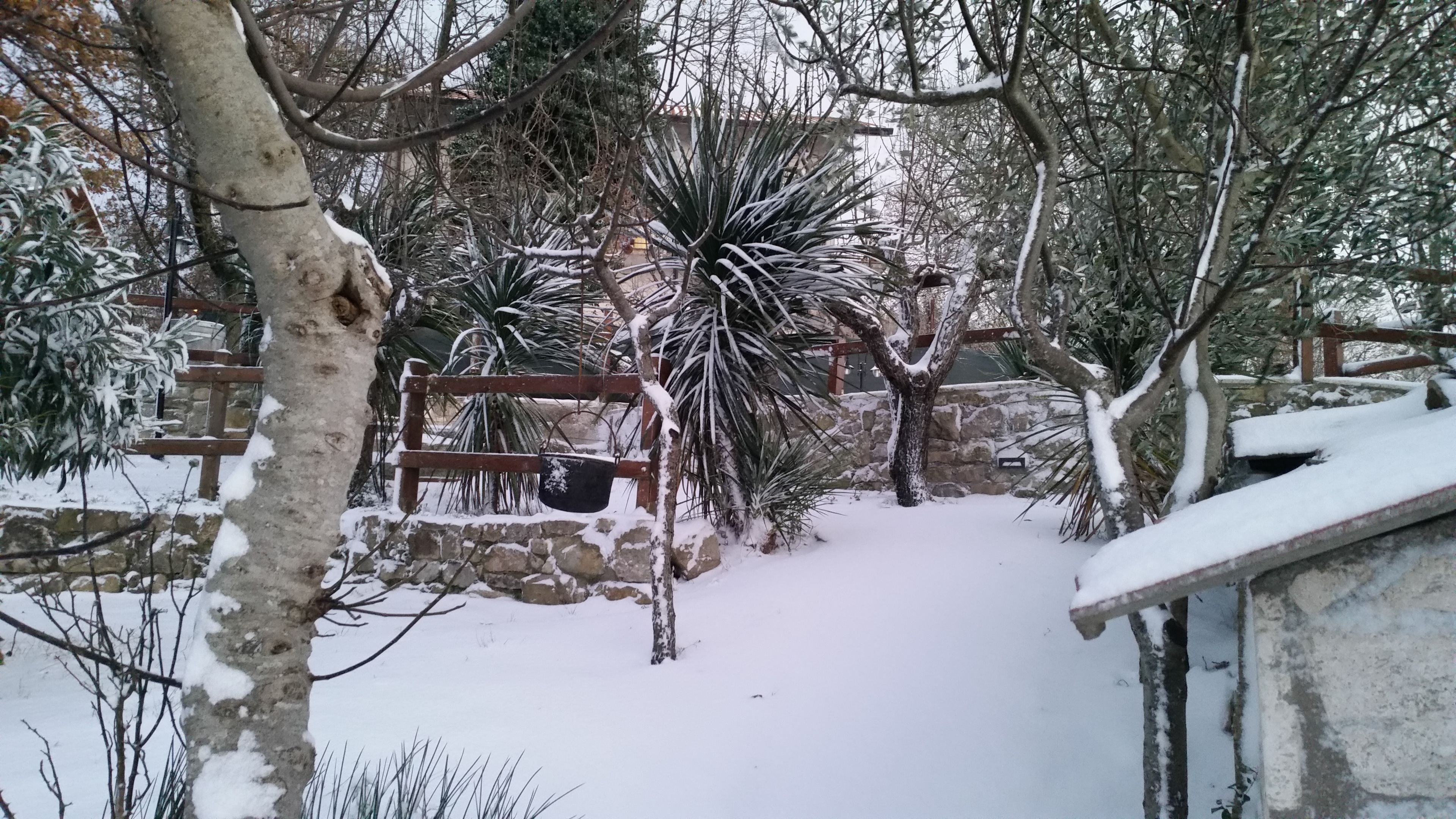 A snow-covered garden with a stone wall, a wooden fence, and various plants.