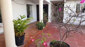 Exterior detail - Suites Rosas Hotel Boutique (Cancun)