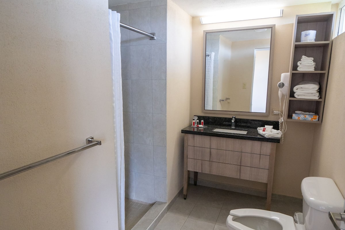 shower, free toiletries, hair dryer, towels