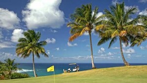 A golf course with a flag, palm trees, and a golf cart. - Punta Borinquen Resort (Aguadilla)