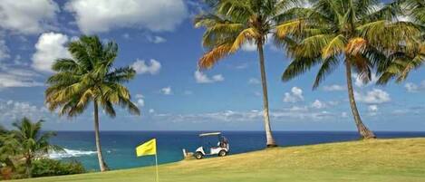 A golf course with a flag, palm trees, and a golf cart.