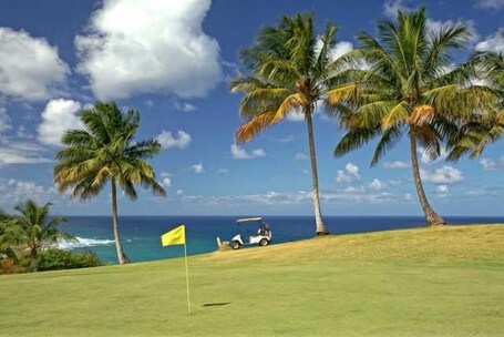 Punta Borinquen Resort - Image 20
