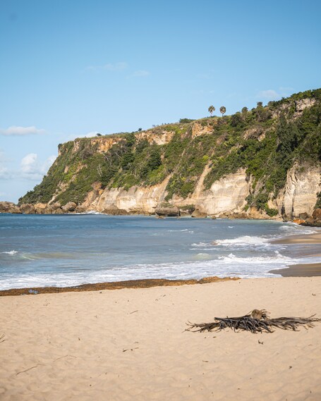 Punta Borinquen Resort - Image 25
