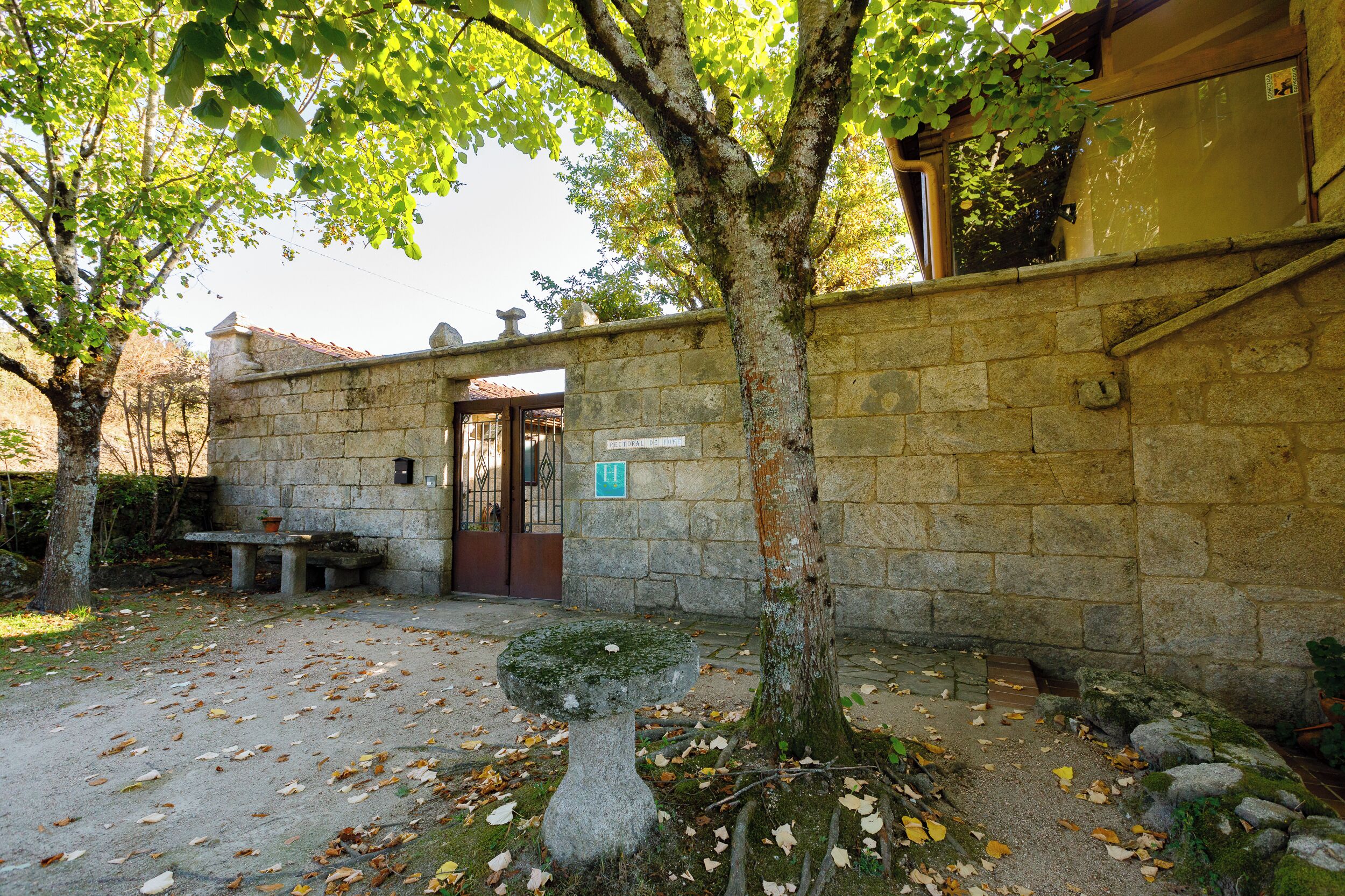 Une cour bordée de murs en pierre, avec un banc et un arbre.