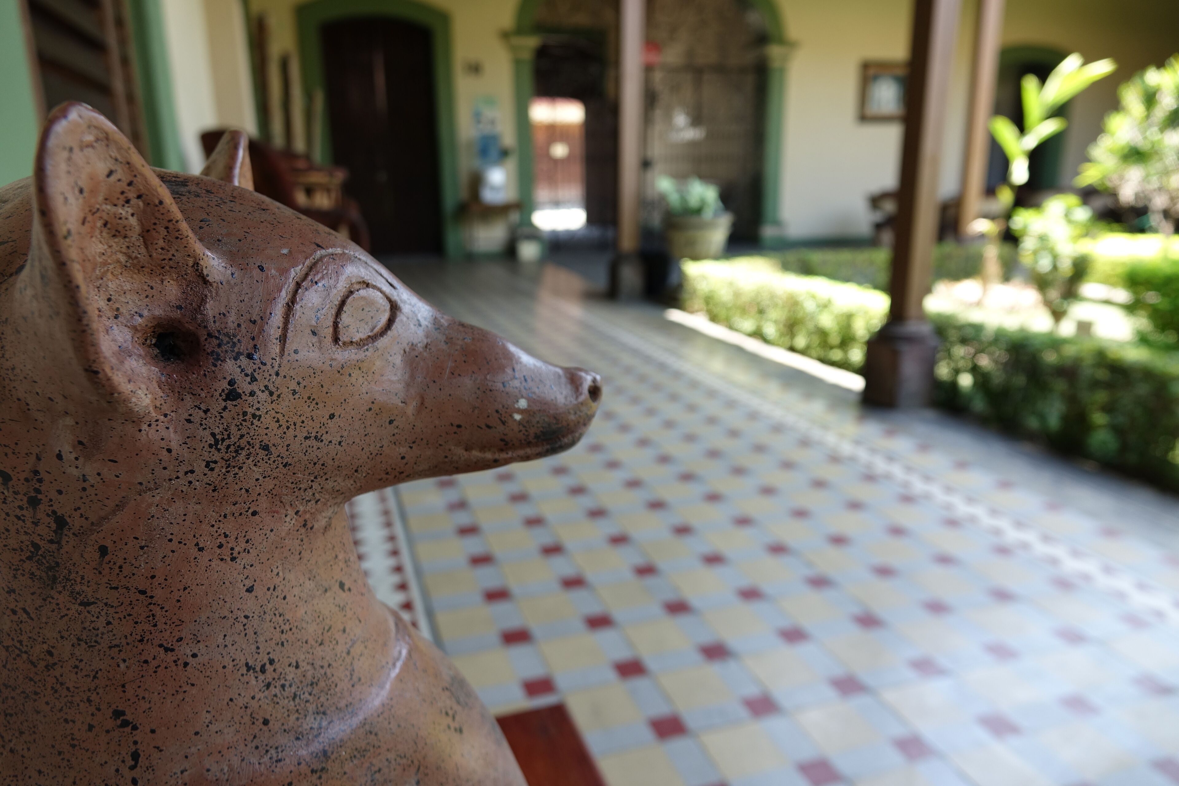 Una estàtua de porc de terracota en un pati amb un paviment d'escacs i una porta verda al fons.