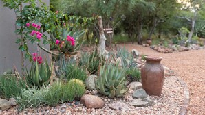 Un jardín con diversas plantas, una maceta grande y una estructura de madera rústica.