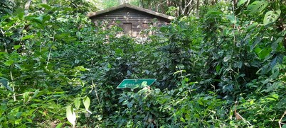 Mombacho Lodge
