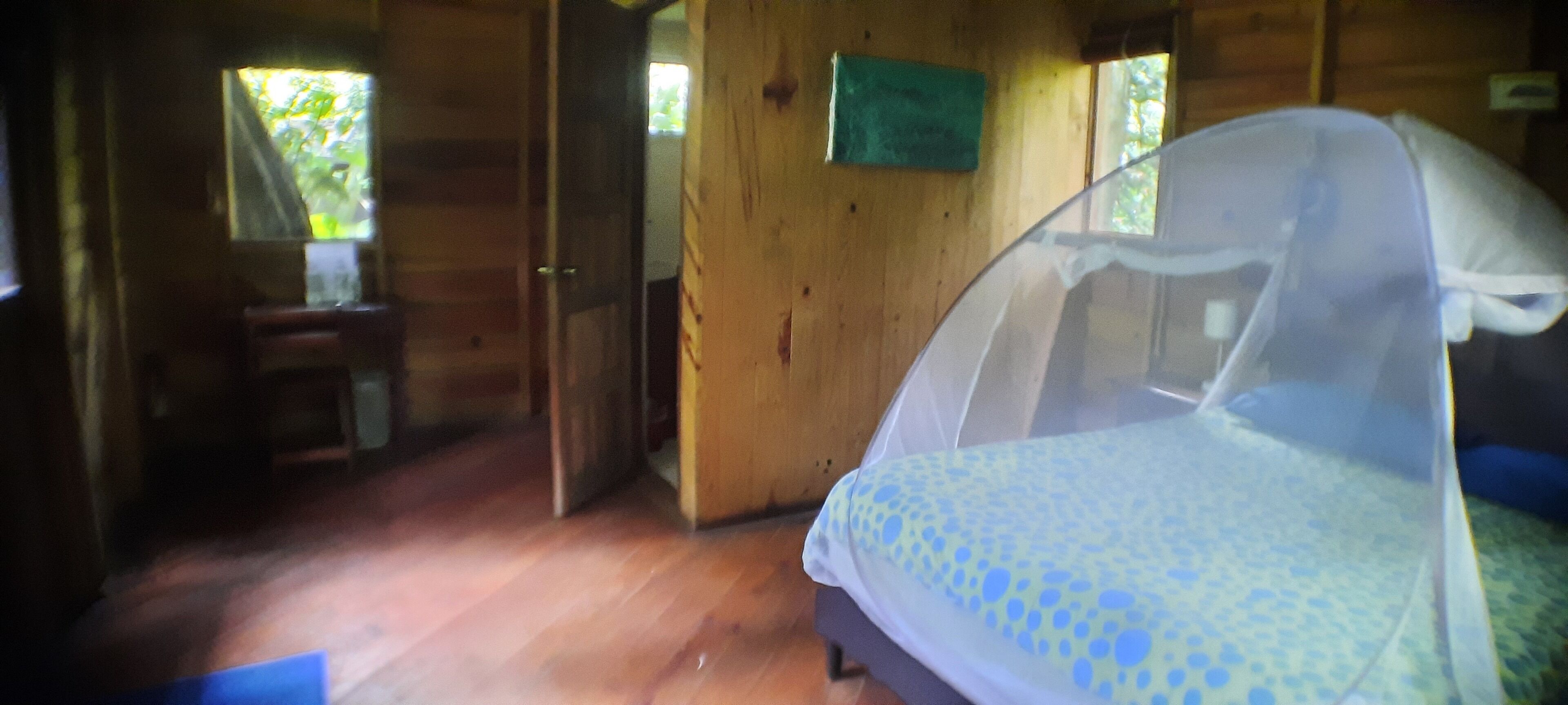 Una habitación de madera con una cama cubierta por una mosquitera, una mesita y una ventana con vistas al follaje.