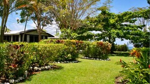 Um jardim exuberante com diversas plantas e um edifício com telhado inclinado.