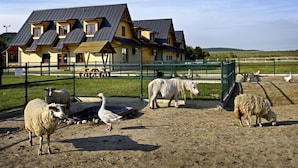 A farm with a yellow building, a fenced area, and various animals including sheep and geese. - Hotel Rozálka (Pezinok)