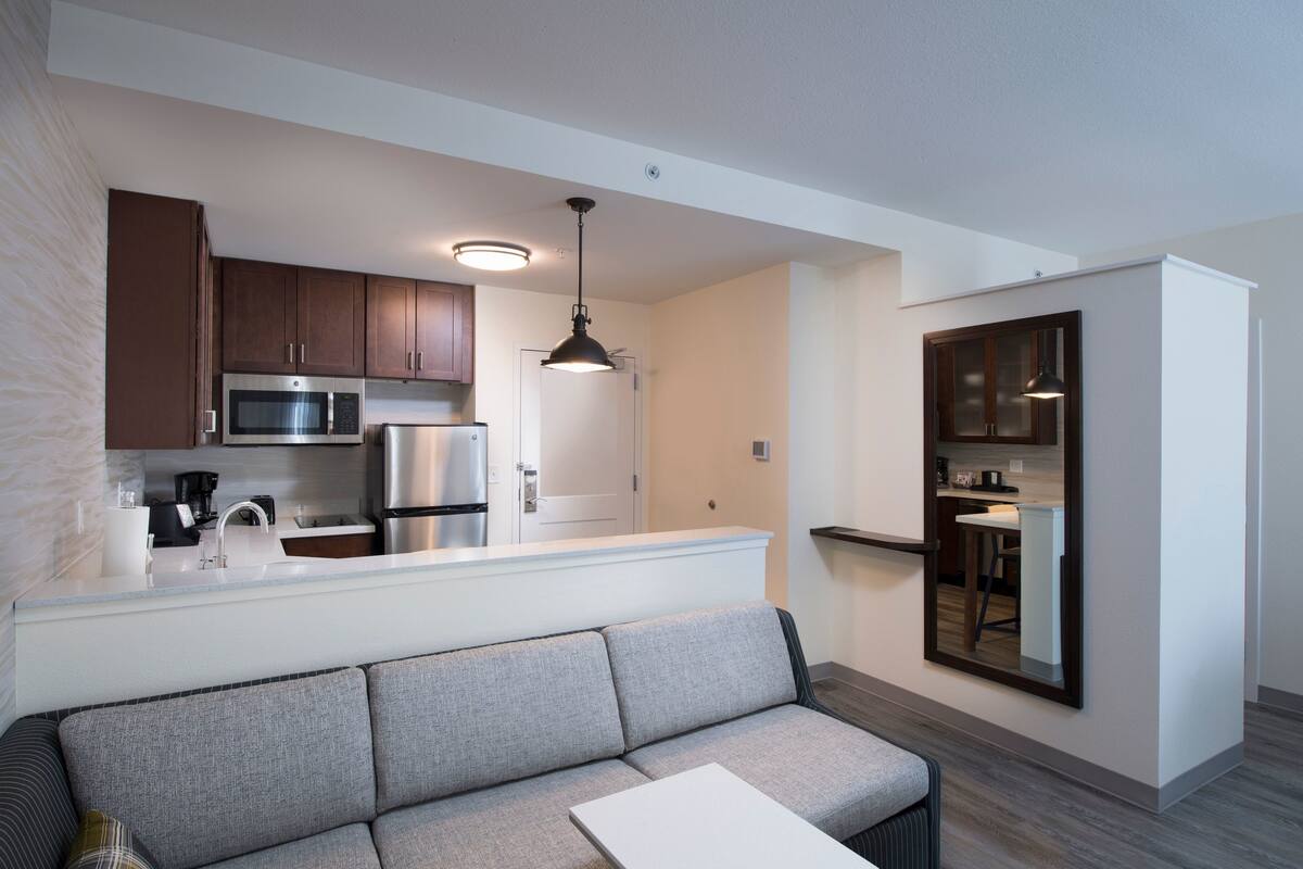 studio, 1 king bed with sofa bed | living area | smart tv, netflix