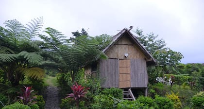 Volcanic Village Vista