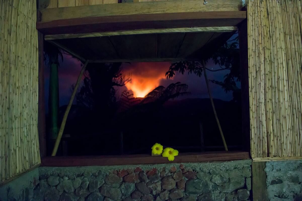 Vistas desde la habitación