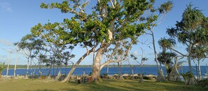 A tree-lined beachfront with a view of the sea. - Bluepango Guest House - Hostel (Port Vila)