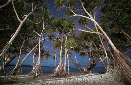 Playa. Bluepango Guest House - Hostel