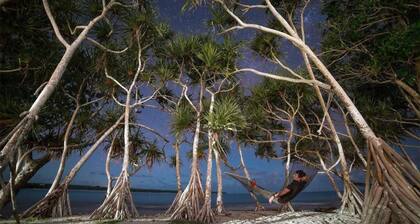 Bluepango Guest House - Hostel