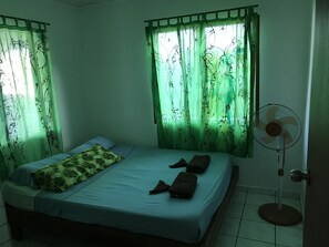 Fan - PASI Lodge (Port Vila)