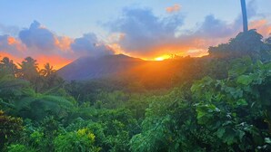 Un paisaje exuberante con una montaña al fondo y un atardecer.