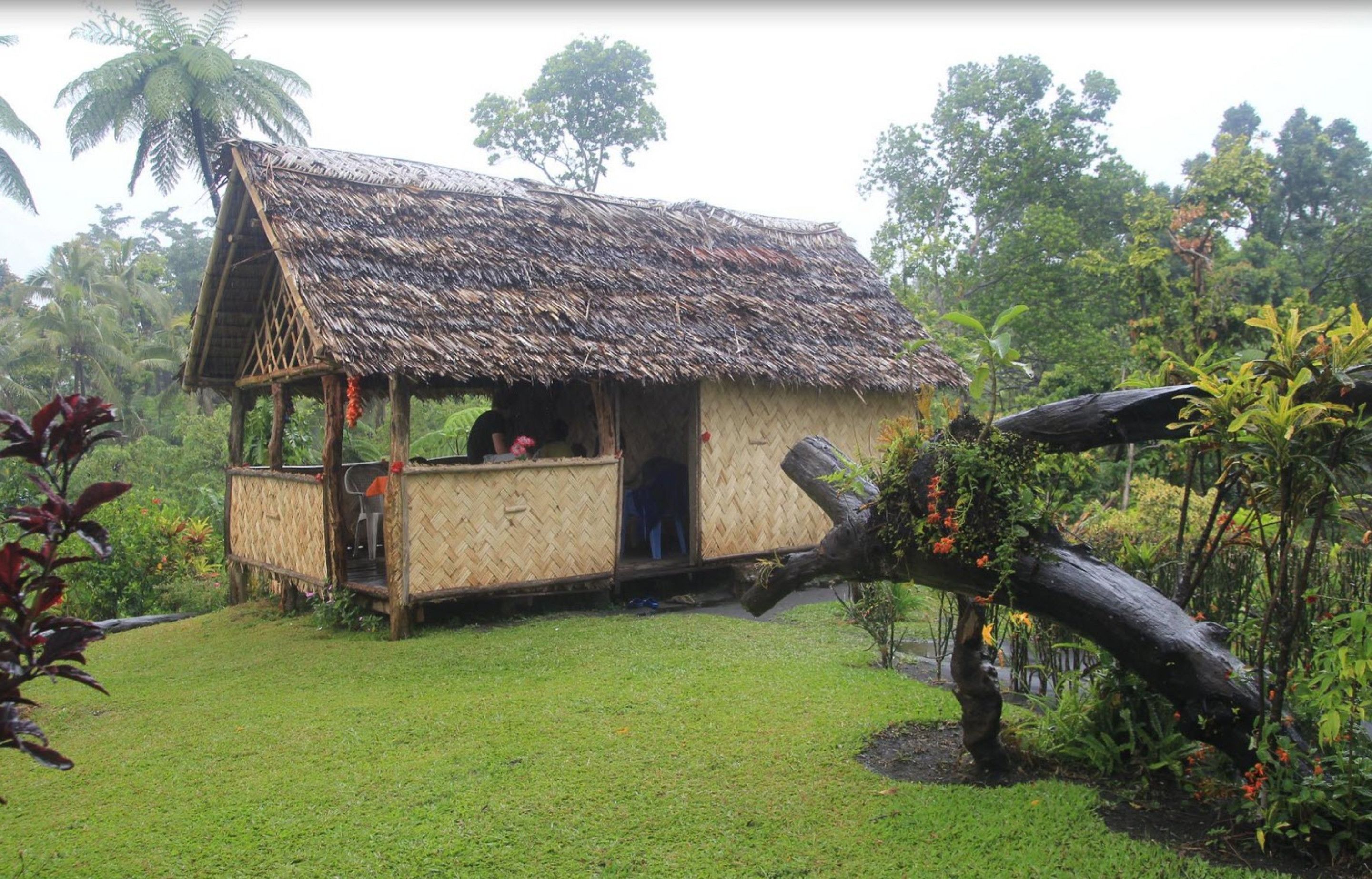 A small, thatched-roof hut with a porch, surrounded by lush greenery.
