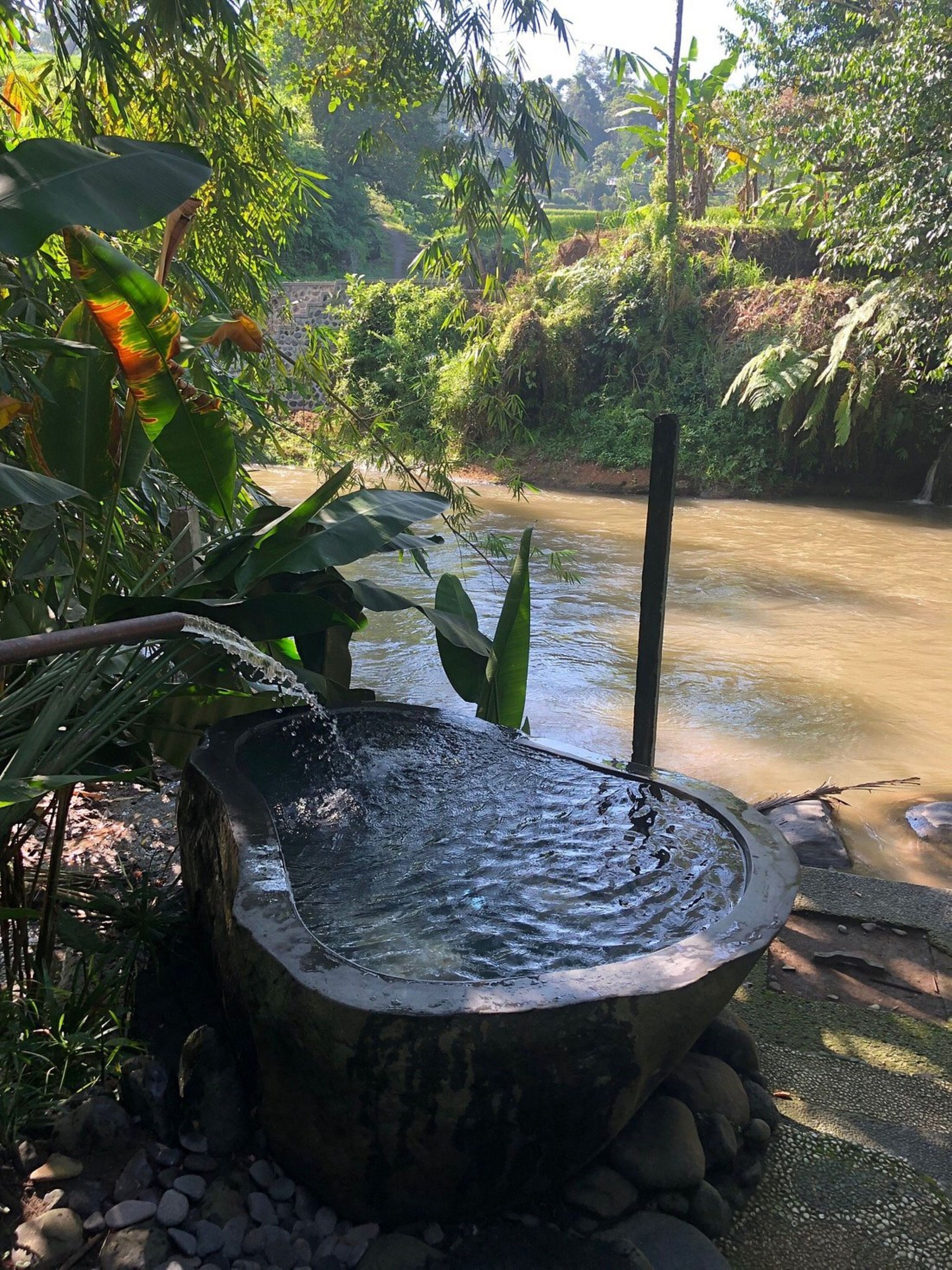 A natural water feature with a stone basin, surrounded by lush greenery and a calm river.