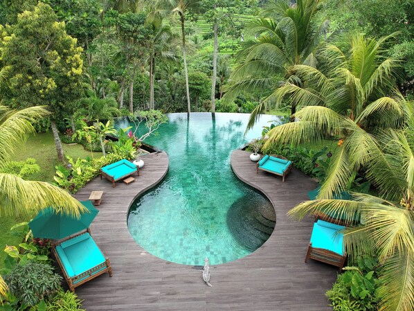 Outdoor pool, pool umbrellas, pool loungers